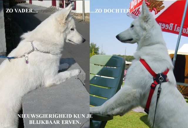 Fotos/Payka/Chendo_en_Payka_nieuwsgierig[1].jpg